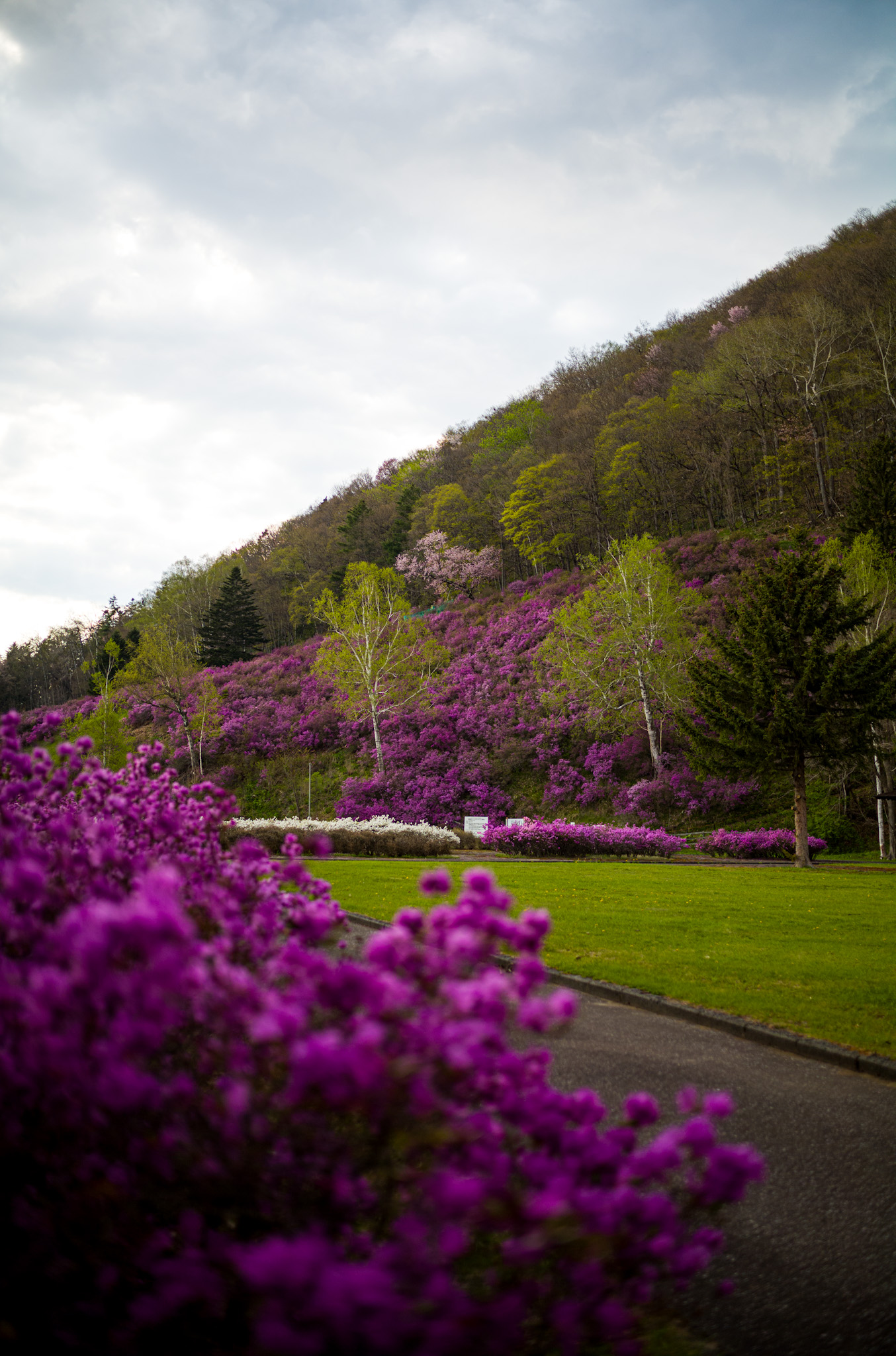 Hokkaido Bike Tour VII